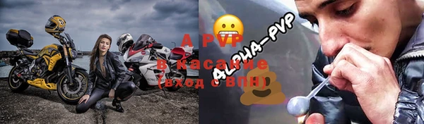 PSILOCYBIN Бронницы