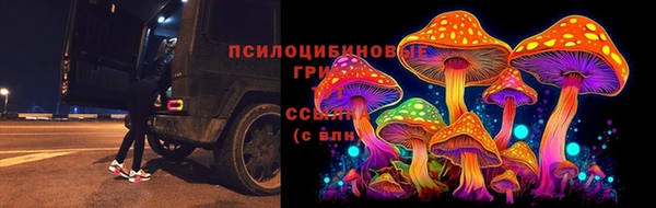 PSILOCYBIN Бронницы