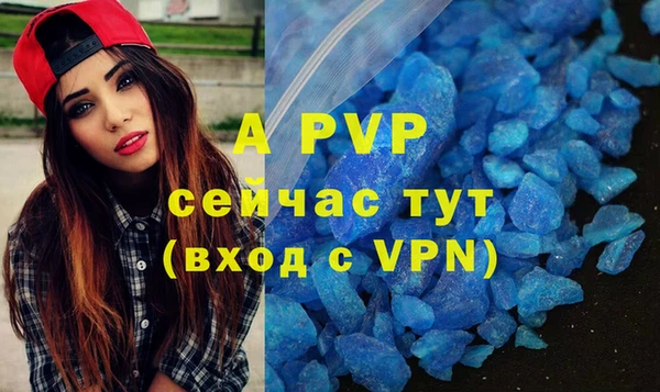 PSILOCYBIN Бронницы