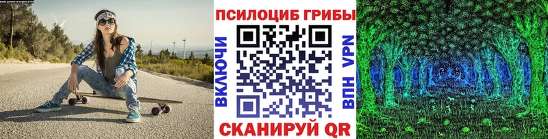 Псилоцибиновые грибы MAGIC MUSHROOMS Новосокольники