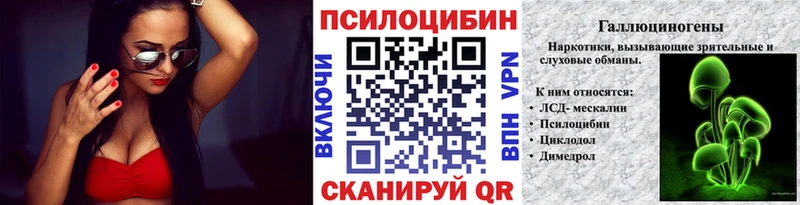 цены   Новосокольники  OMG ссылка  Псилоцибиновые грибы Psilocybe 